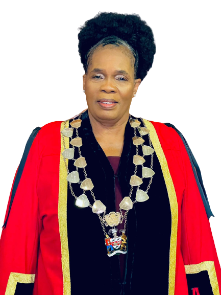 mayor umlalazi