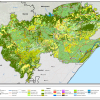 Umlalazi-Broad-Landuse