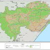 Umlalazi-Vegetation-Transformation